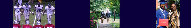The Academy Schools