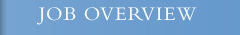 Job Overview