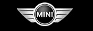 Momentum Mini
