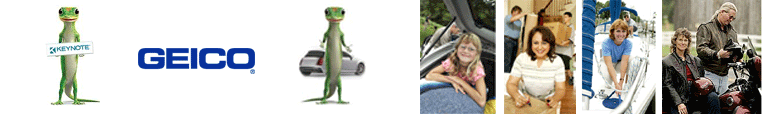 GEICO