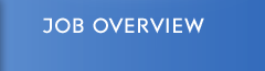 Job Overview