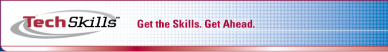View company details for TechSkills