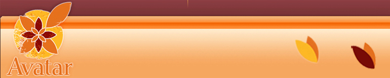 Avatar IT Solutions Pvt Ltd