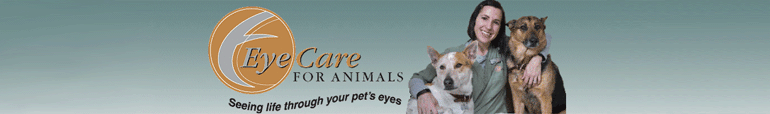 View company details for Eye Care for Animals