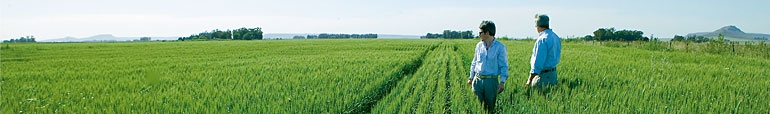 Syngenta Crop Protection, Inc.
