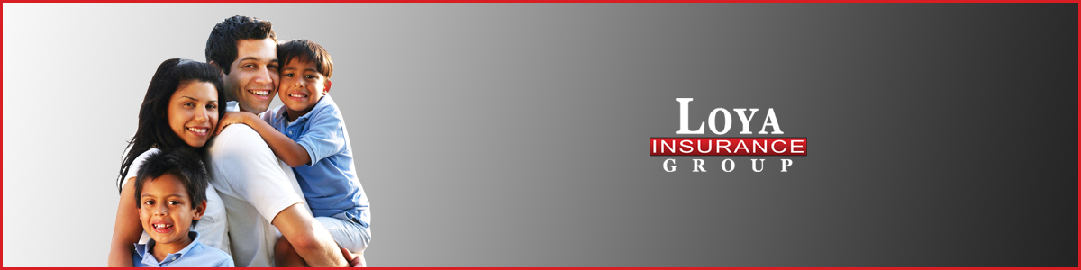 customer service and sales representative job in chicago il loya insurance careers