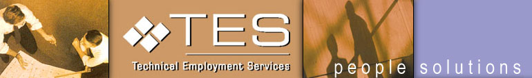 Technical Employment Services