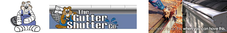 QUEEN CITY GUTTER SYSTEMS