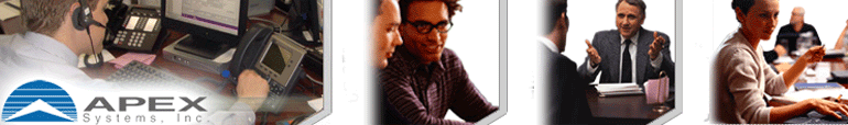 Apex Systems Inc
