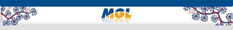 Mascon Global Limited