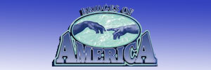 Click here to Navigate to the Company web site