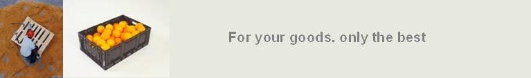 IFCO SYSTEMS