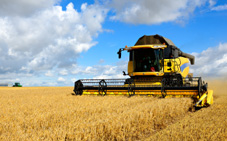 industries we serve