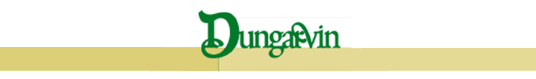 Dungarvin