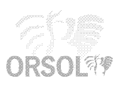 ORSOL
