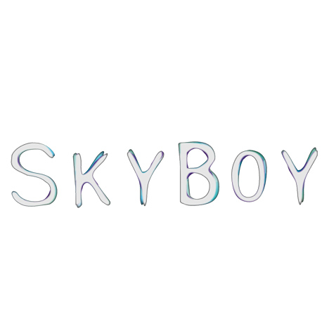 skyboy