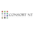 CONSORT NT