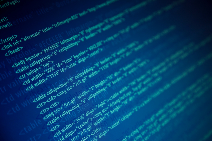 Software Developer