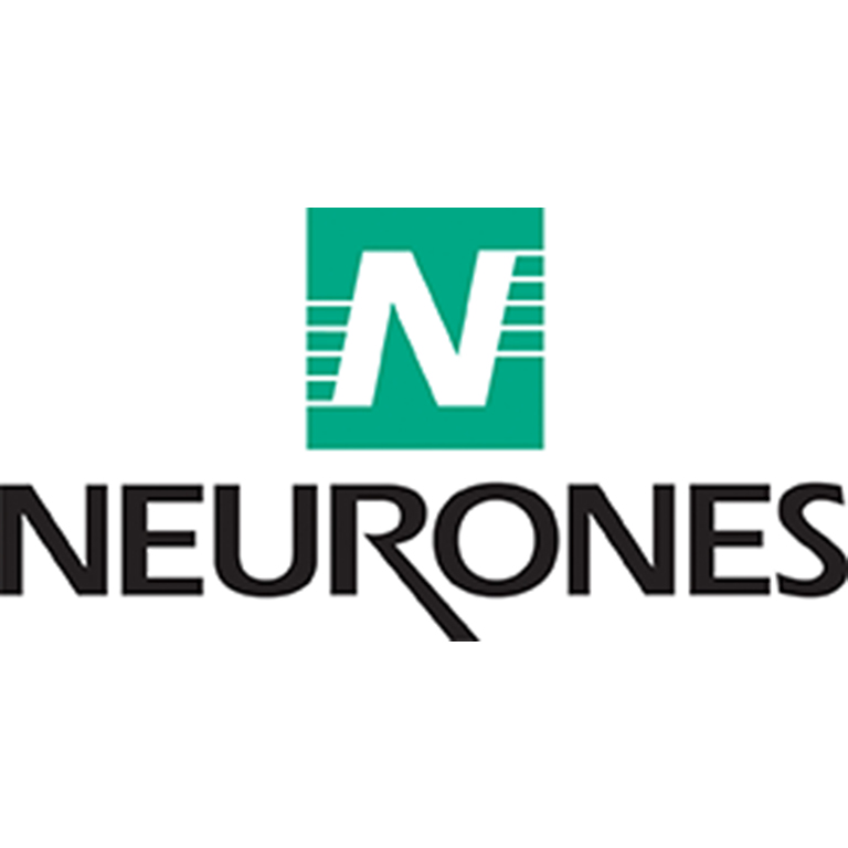 Neurones IT