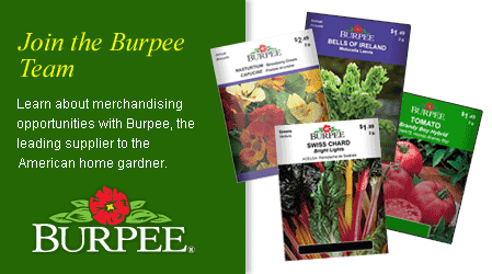 Burpee
